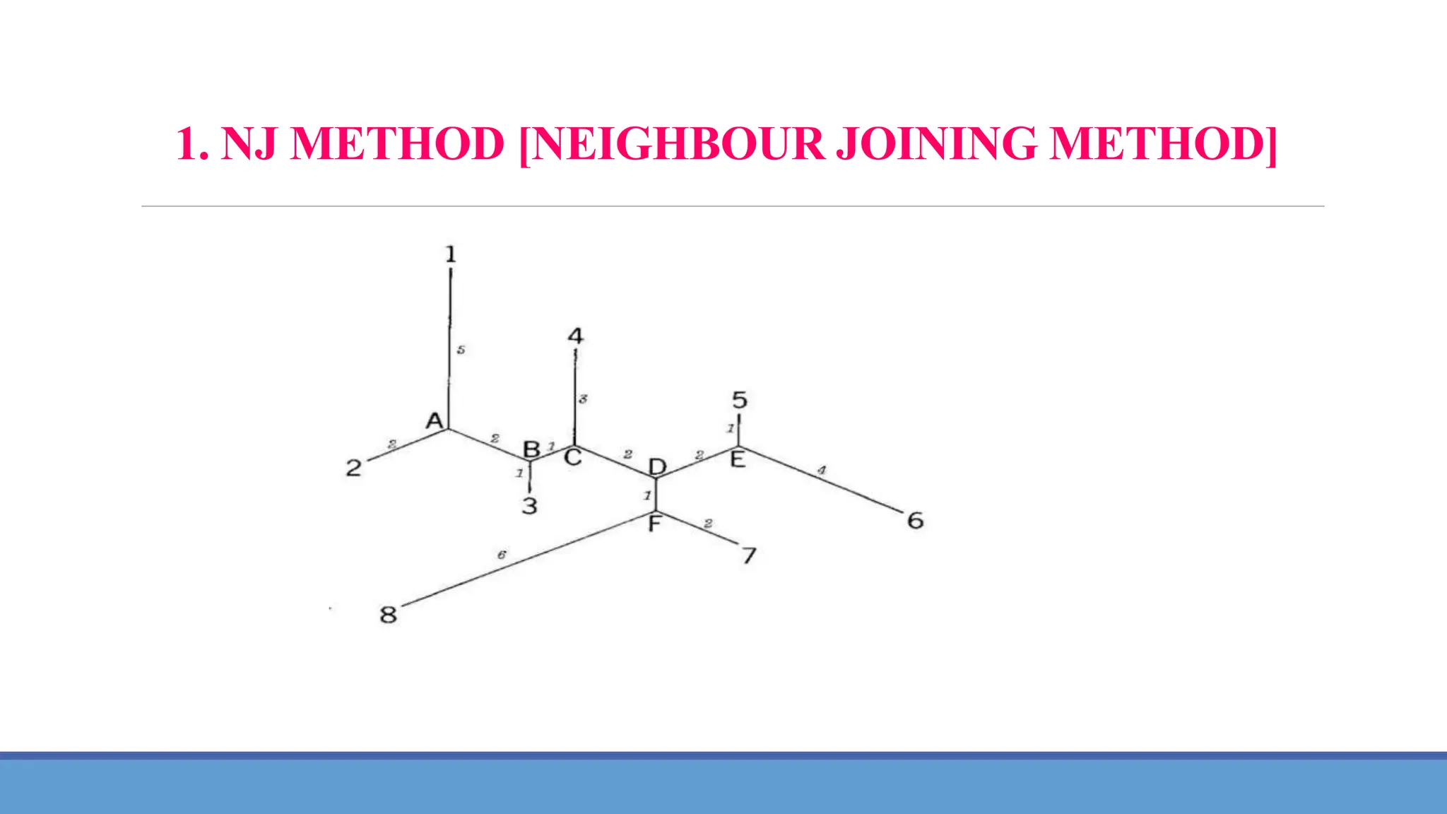 1. NJ METHOD [NEIGHBOUR JOINING METHOD]
 
