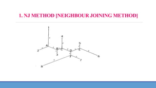 1. NJ METHOD [NEIGHBOUR JOINING METHOD]
 