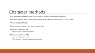 Character methods
Tree are calculated by considering the various possible pathways of evolution.
This methods uses each alignment positions as evolutionary information to build a tree.
All information at hand
More advanced, slower, but also more accurate
Maximum Parsimony (MP)
◦ Occam’s razor: Simplest explanation
Maximum Likelihood (ML)
◦ Advanced statistical method
◦ Most probable tree given the data and the model
 
