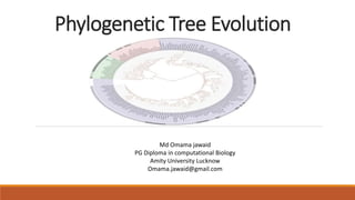 Phylogenetic Tree Evolution
Md Omama jawaid
PG Diploma in computational Biology
Amity University Lucknow
Omama.jawaid@gmail.com
 
