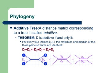 Phylogenetic trees | PPT
