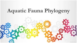 Aquatic Fauna Phylogeny
 