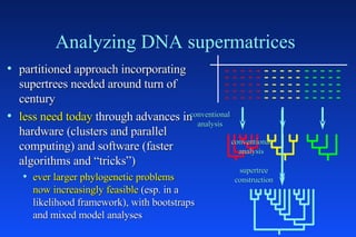Supertreen Constructure Phylogenomic Supertrees. ORP Bininda-Emond | PPT