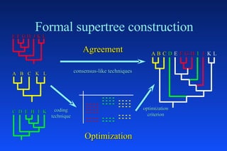 Supertreen Constructure Phylogenomic Supertrees. ORP Bininda-Emond | PPT
