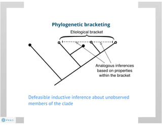 Phylogeny