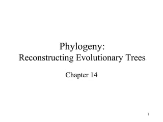 1
Phylogeny:
Reconstructing Evolutionary Trees
Chapter 14
 