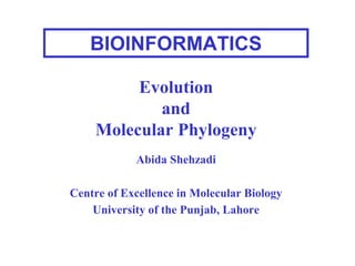 Evolution
and
Molecular Phylogeny
Abida Shehzadi
Centre of Excellence in Molecular Biology
University of the Punjab, Lahore
BIOINFORMATICS
 