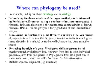 Phylogeny-Abida.pptx
