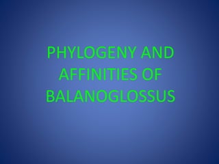 PHYLOGENY AND
AFFINITIES OF
BALANOGLOSSUS
 