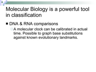 Phylogeny & classification | PPT