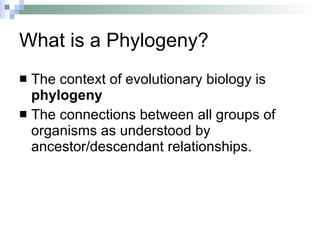 Phylogeny & classification | PPT