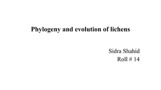 Phylogeny and evolution of lichens
Sidra Shahid
Roll # 14
 