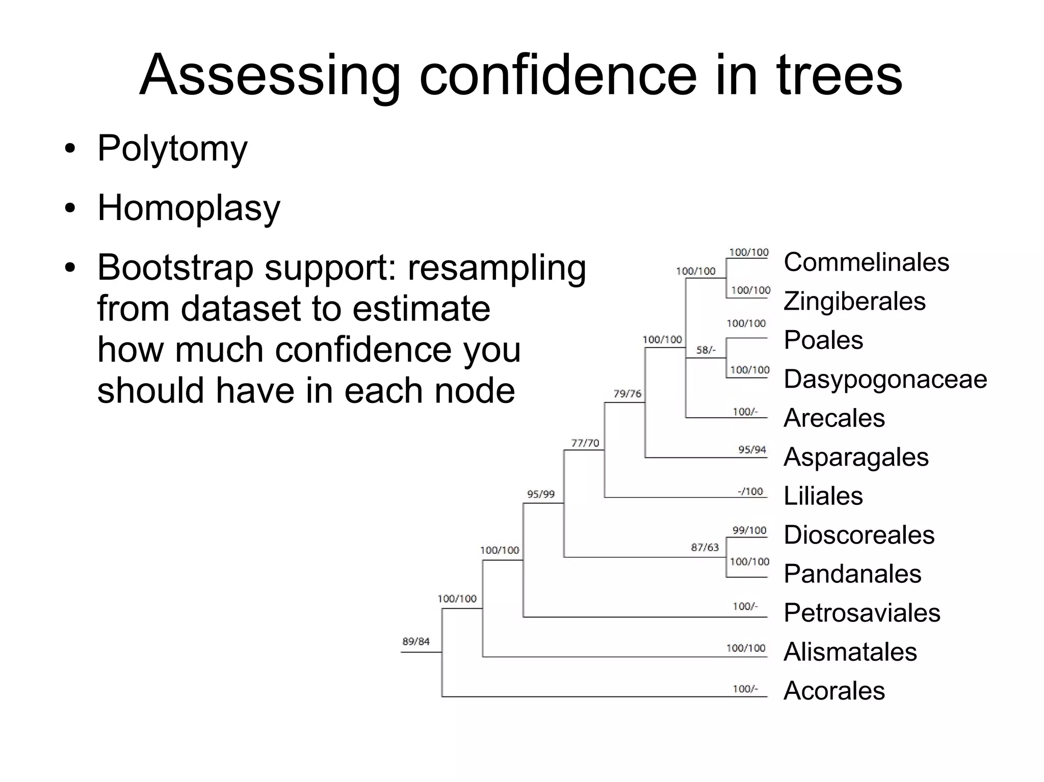 Assessing confidence in trees
●   Polytomy
●   Homoplasy
●   Bootstrap support: resampling   Commelinales
    from dataset to estimate        Zingiberales
    how much confidence you         Poales
                                    Dasypogonaceae
    should have in each node
                                    Arecales
                                    Asparagales
                                    Liliales
                                    Dioscoreales
                                    Pandanales
                                    Petrosaviales
                                    Alismatales
                                    Acorales
 