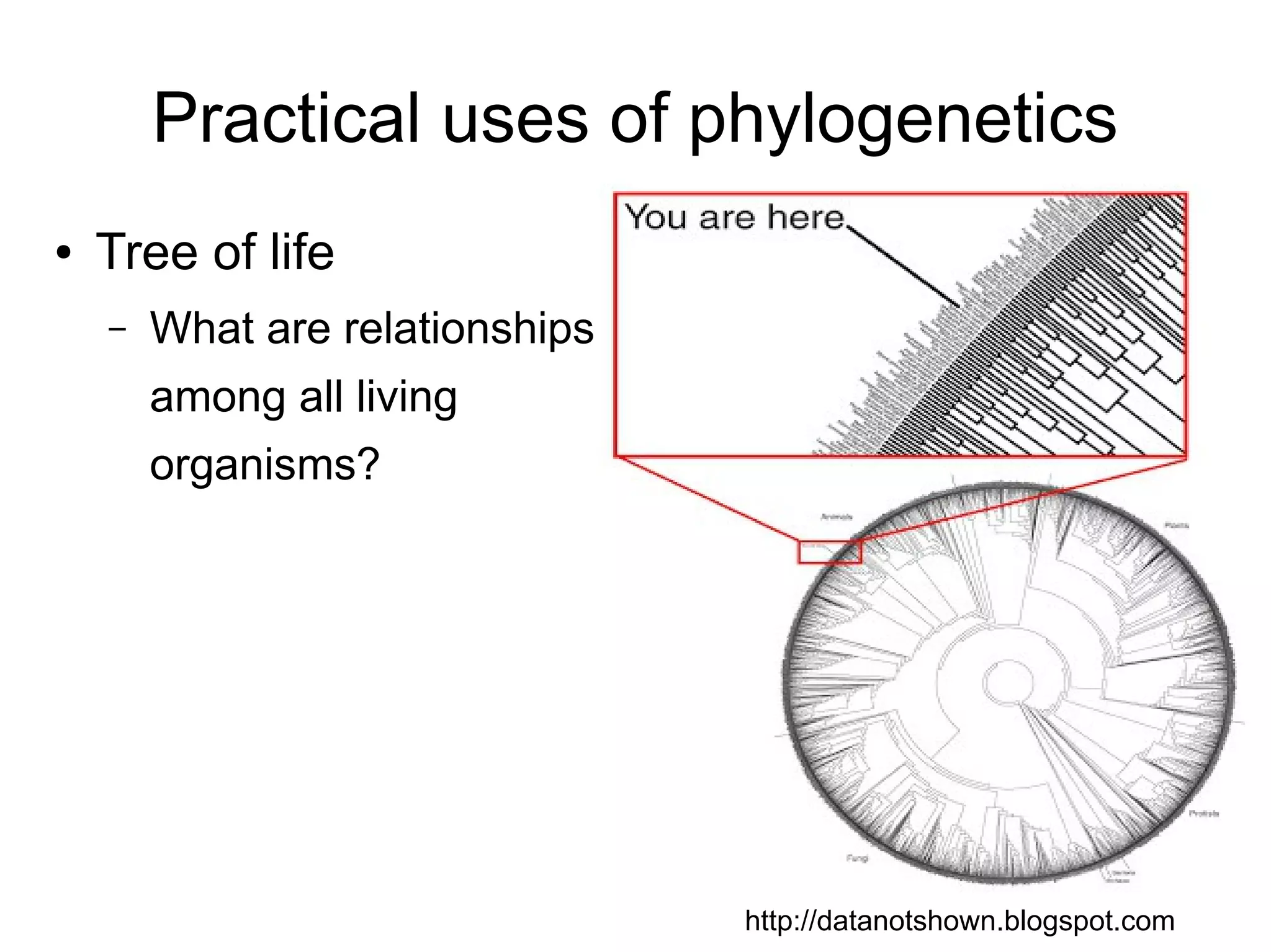 Practical uses of phylogenetics
●   Tree of life
    –   What are relationships
        among all living
        organisms?




                                 http://datanotshown.blogspot.com
 