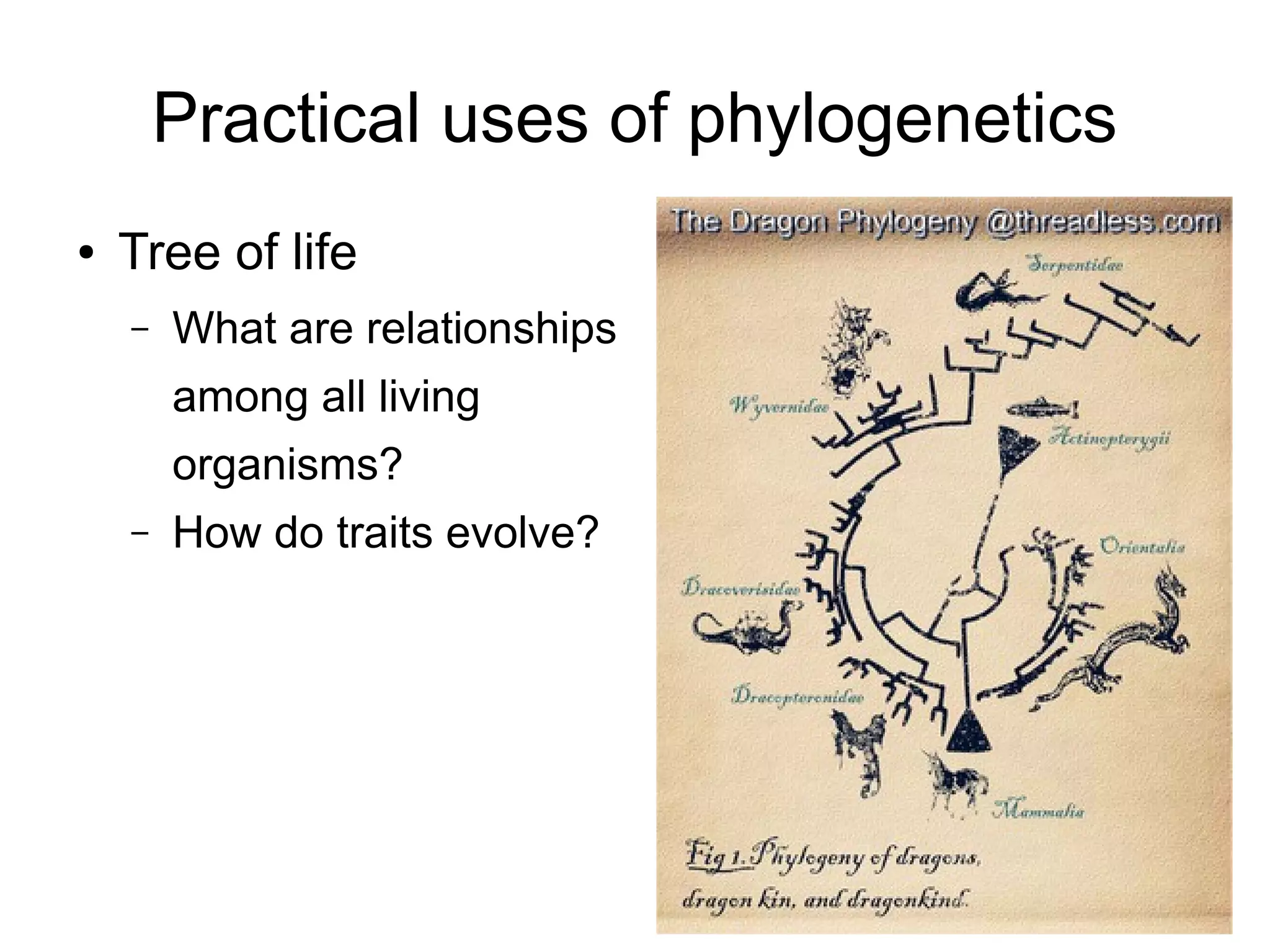 Practical uses of phylogenetics
●   Tree of life
    –   What are relationships
        among all living
        organisms?
    –   How do traits evolve?
 