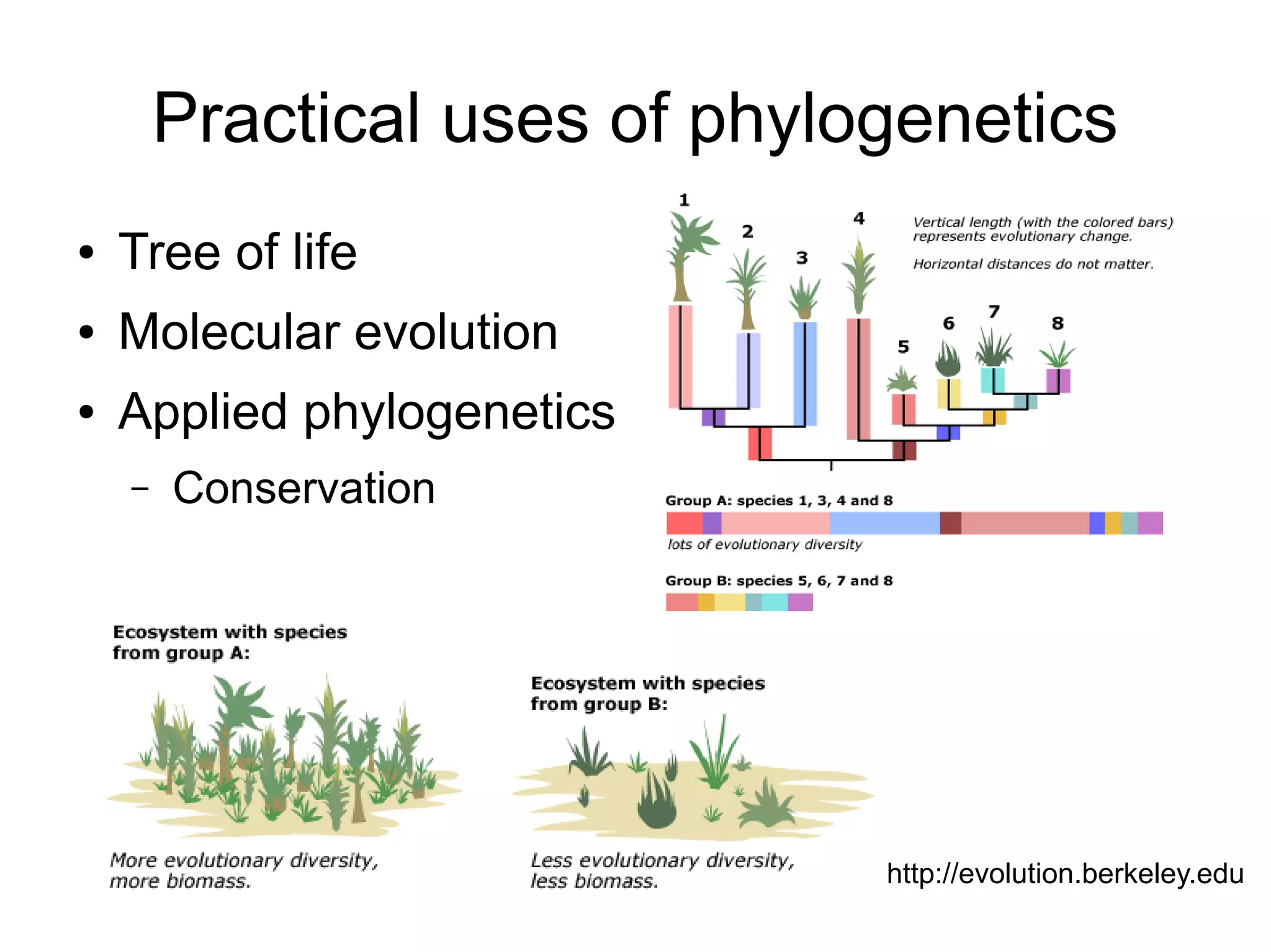 Practical uses of phylogenetics
●   Tree of life
●   Molecular evolution
●   Applied phylogenetics
    –   Conservation




                               http://evolution.berkeley.edu
 