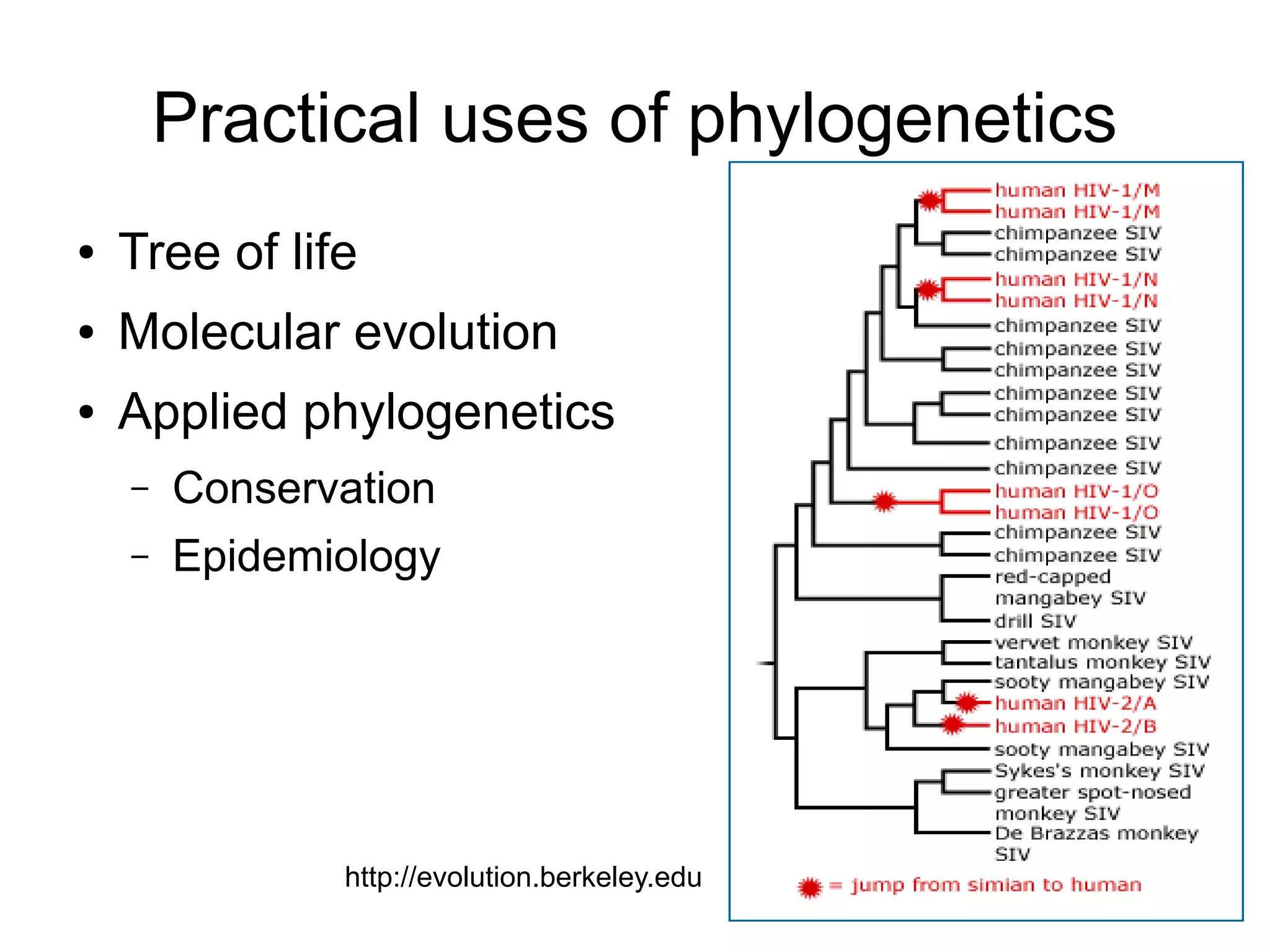 Practical uses of phylogenetics
●   Tree of life
●   Molecular evolution
●   Applied phylogenetics
    –   Conservation
    –   Epidemiology




               http://evolution.berkeley.edu
 