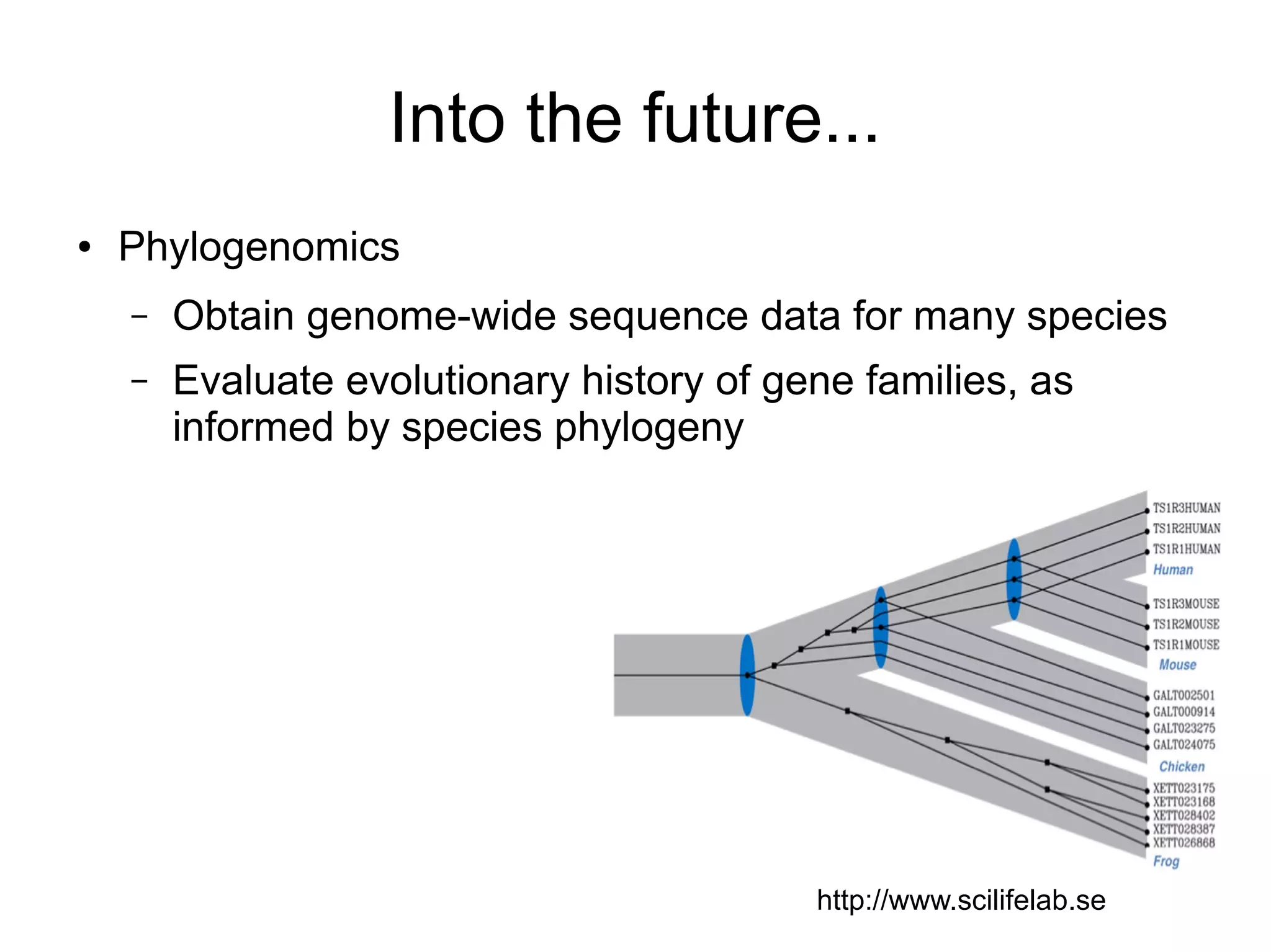 Into the future...
●   Phylogenomics
    –   Obtain genome-wide sequence data for many species
    –   Evaluate evolutionary history of gene families, as
        informed by species phylogeny




                                           http://www.scilifelab.se
 