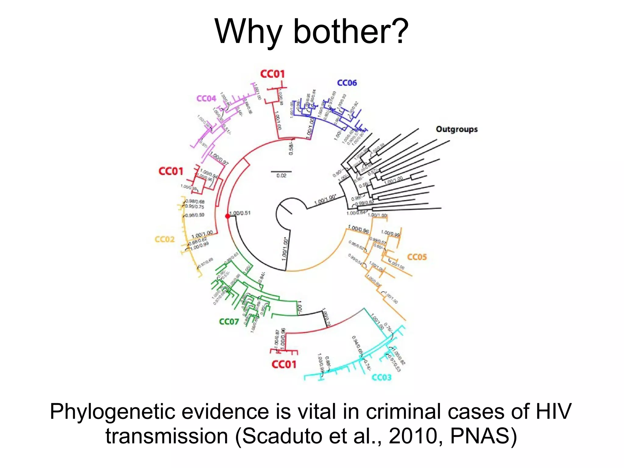 Why bother?




Phylogenetic evidence is vital in criminal cases of HIV
     transmission (Scaduto et al., 2010, PNAS)
 