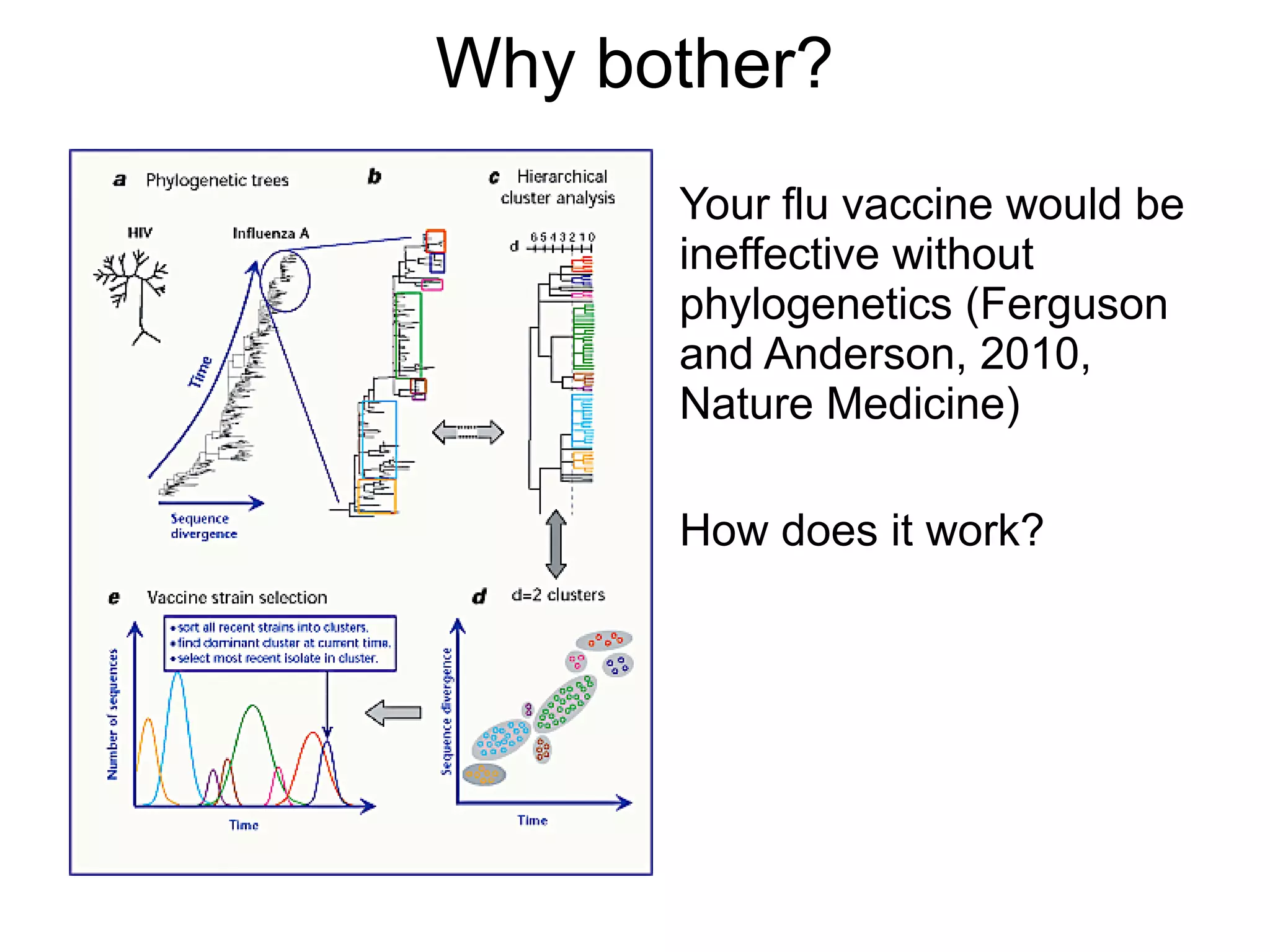 Why bother?
      Your flu vaccine would be
      ineffective without
      phylogenetics (Ferguson
      and Anderson, 2010,
      Nature Medicine)

      How does it work?
 