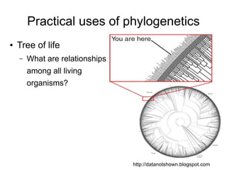 Practical uses of phylogenetics
●   Tree of life
    –   What are relationships
        among all living
        organisms?




                                 http://datanotshown.blogspot.com
 
