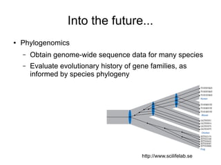 Into the future...
●   Phylogenomics
    –   Obtain genome-wide sequence data for many species
    –   Evaluate evolutionary history of gene families, as
        informed by species phylogeny




                                           http://www.scilifelab.se
 