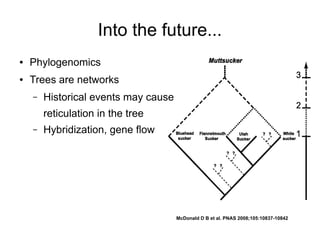 Into the future...
●   Phylogenomics
●   Trees are networks
    –   Historical events may cause
        reticulation in the tree
    –   Hybridization, gene flow




                                      McDonald D B et al. PNAS 2008;105:10837-10842
 