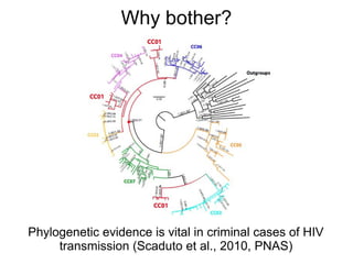 Why bother?




Phylogenetic evidence is vital in criminal cases of HIV
     transmission (Scaduto et al., 2010, PNAS)
 