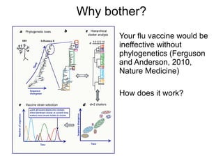 Why bother?
      Your flu vaccine would be
      ineffective without
      phylogenetics (Ferguson
      and Anderson, 2010,
      Nature Medicine)

      How does it work?
 