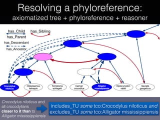 Resolving a phyloreference: 
axiomatized tree + phyloreference + reasoner
Crocodylus niloticus and
all crocodylians 
close...
