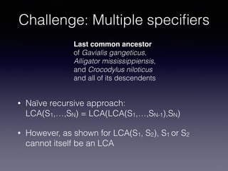 Challenge: Multiple speciﬁers
• Naïve recursive approach: 
LCA(S1,…,SN) = LCA(LCA(S1,…,SN-1),SN)
• However, as shown for L...
