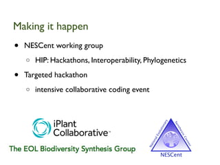 Making it happen
•   NESCent working group
    o   HIP: Hackathons, Interoperability, Phylogenetics

•   Targeted hackathon
    o   intensive collaborative coding event
 