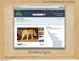 http://eol.org/pages/328674/overview




                         Panthera tigris
Monday, 28 January, 13
 