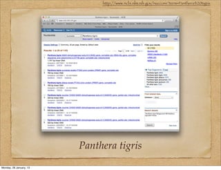 http://www.ncbi.nlm.nih.gov/nuccore?term=Panthera%20tigris




                         Panthera tigris
Monday, 28 January, 13
 