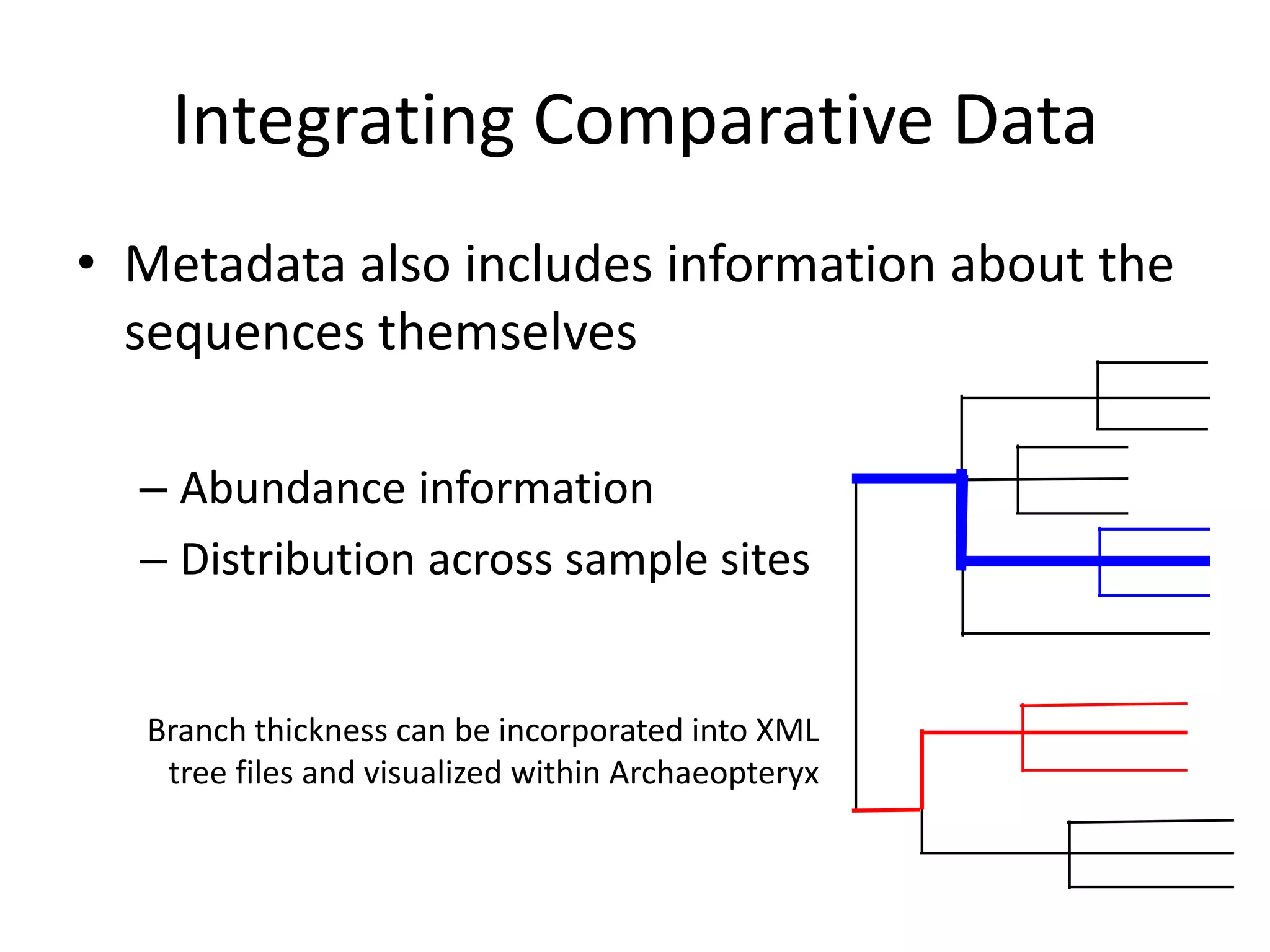 Integrating Comparative Data
• Metadata also includes information about the
  sequences themselves

  – Abundance information
  – Distribution across sample sites


  Branch thickness can be incorporated into XML
   tree files and visualized within Archaeopteryx
 