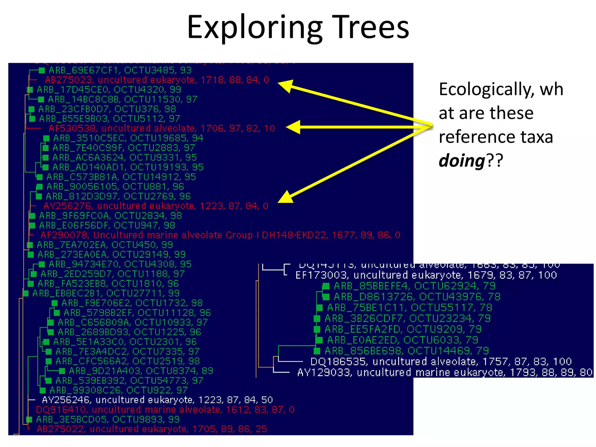 Exploring Trees
                  Ecologically, wh
                  at are these
                  reference taxa
                  doing??
 