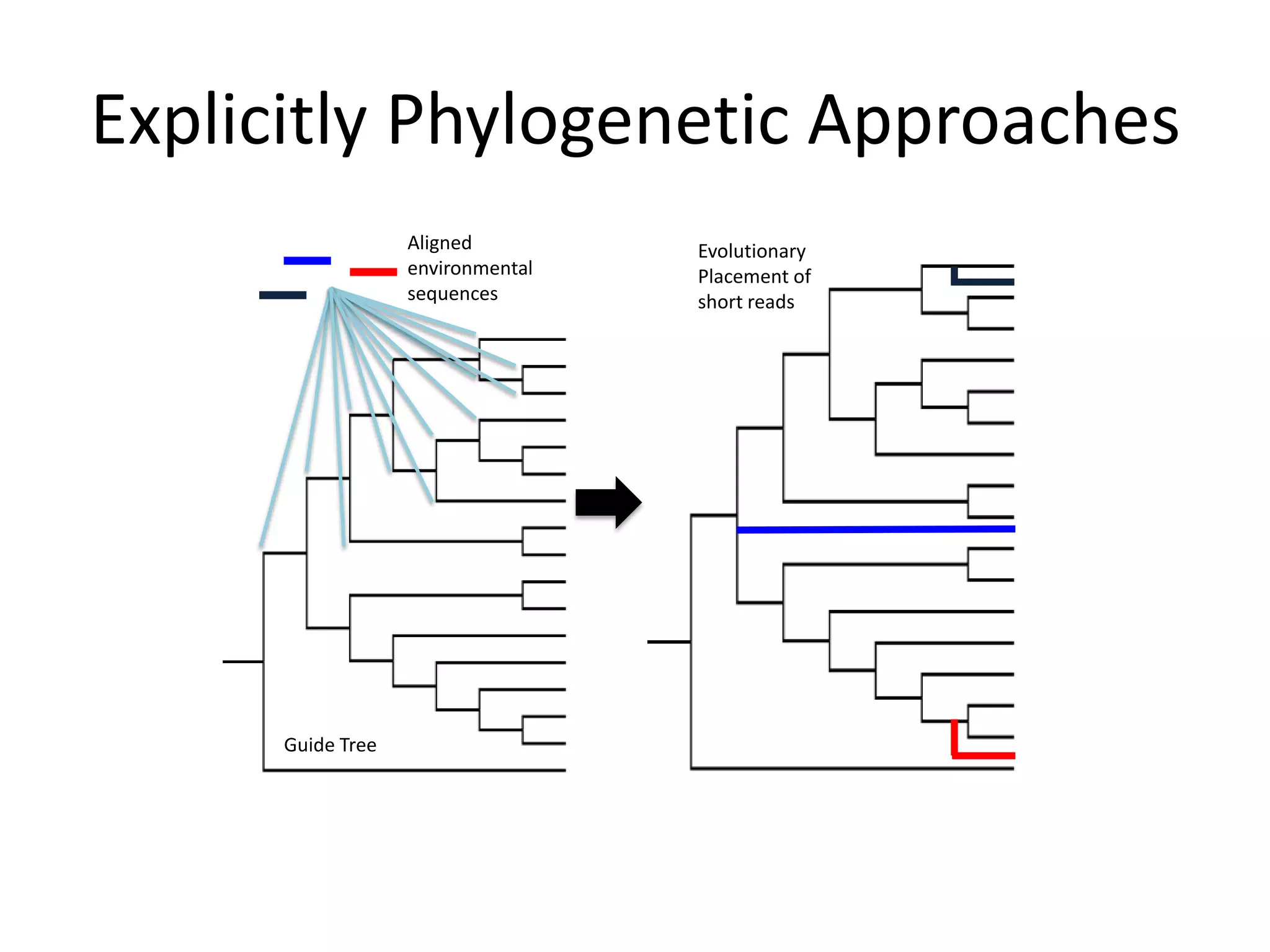 Explicitly Phylogenetic Approaches
                   Aligned         Evolutionary
                   environmental   Placement of
                   sequences       short reads




      Guide Tree
 