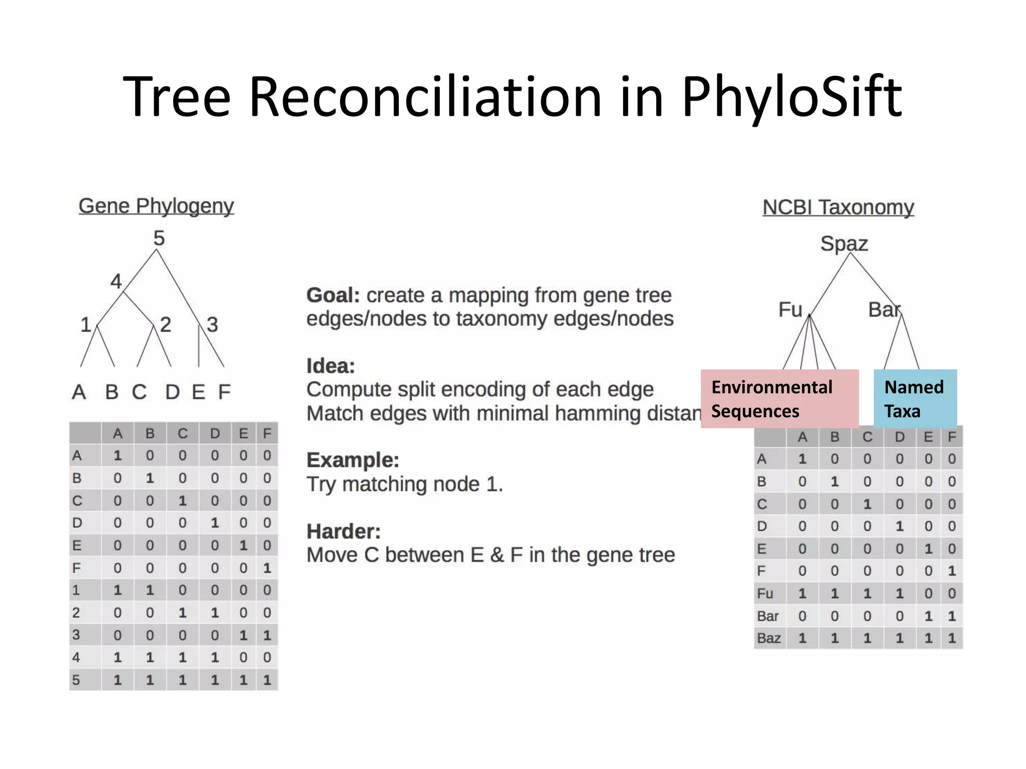 Tree Reconciliation in PhyloSift



                        Environmental   Named
                        Sequences       Taxa
 