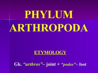 PHYLUM ARTHROPODA ETYMOLOGY Gk.  “arthros” –  joint +  “podos” –  foot 