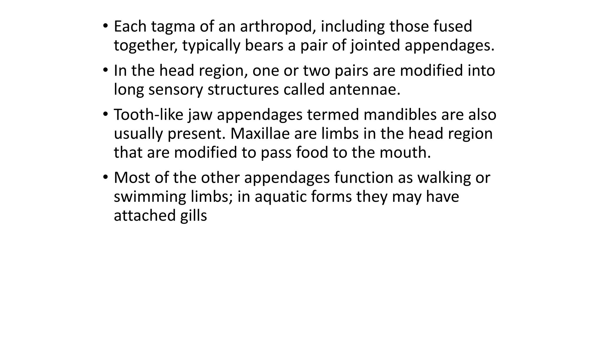 Phylum Arthropoda 1 Pptx