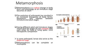 Metamorphosis
Metamorphosis is a radical change in body
form and physiology as an immature stage
becomes an adult
The evolution of arthropods has resulted in
an increased divergence of body forms,
behaviours, and habitats between
immature and adult stages
Having different adult and immature stages
means that the stages do not compete with
each other for food or living space. Limit
Intraspecific competition
 In some arthropod, larvae also serve as the
dispersal stage
Metamorphosis can be complete or
incomplete
 
