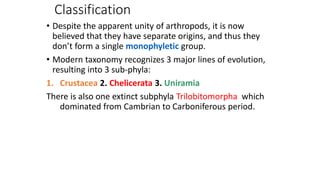 Classification
• Despite the apparent unity of arthropods, it is now
believed that they have separate origins, and thus they
don’t form a single monophyletic group.
• Modern taxonomy recognizes 3 major lines of evolution,
resulting into 3 sub-phyla:
1. Crustacea 2. Chelicerata 3. Uniramia
There is also one extinct subphyla Trilobitomorpha which
dominated from Cambrian to Carboniferous period.
 