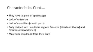 Characteristics Cont….
• They have six pairs of appendages
• Lack of Antennae
• Lack of mandibles (mouth parts)
• Body divided into two distint regions Prosoma (Head and thorax) and
Opisthosoma(Abdomen)
• Most suck liquid food from their prey
 