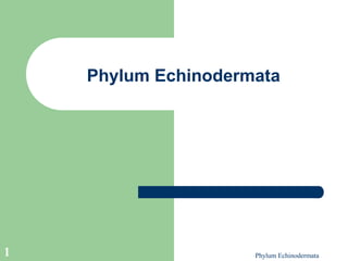 Phylum Echinodermata
1
Phylum Echinodermata
 