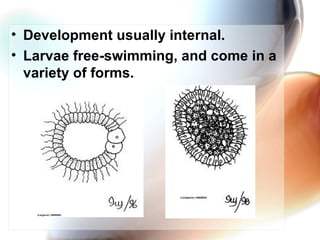 Development usually internal.  Larvae free-swimming, and come in a variety of forms.   
