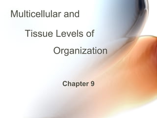 Multicellular and
Chapter 9
Tissue Levels of
Organization
 
