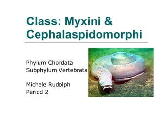Class: Myxini & Cephalaspidomorphi Phylum Chordata Subphylum Vertebrata Michele Rudolph Period 2 