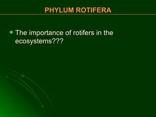 The importance of rotifers in the ecosystems??? PHYLUM ROTIFERA 