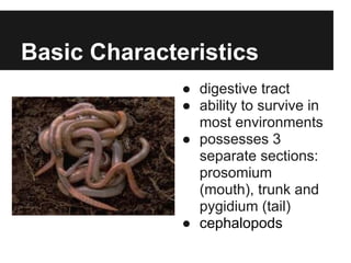 Basic Characteristics
              ● digestive tract
              ● ability to survive in
                most environments
              ● possesses 3
                separate sections:
                prosomium
                (mouth), trunk and
                pygidium (tail)
              ● cephalopods
 