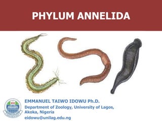 PHYLUM ANNELIDA
EMMANUEL TAIWO IDOWU Ph.D.
Department of Zoology, University of Lagos,
Akoka, Nigeria
eidowu@unilag.edu.ng
 
